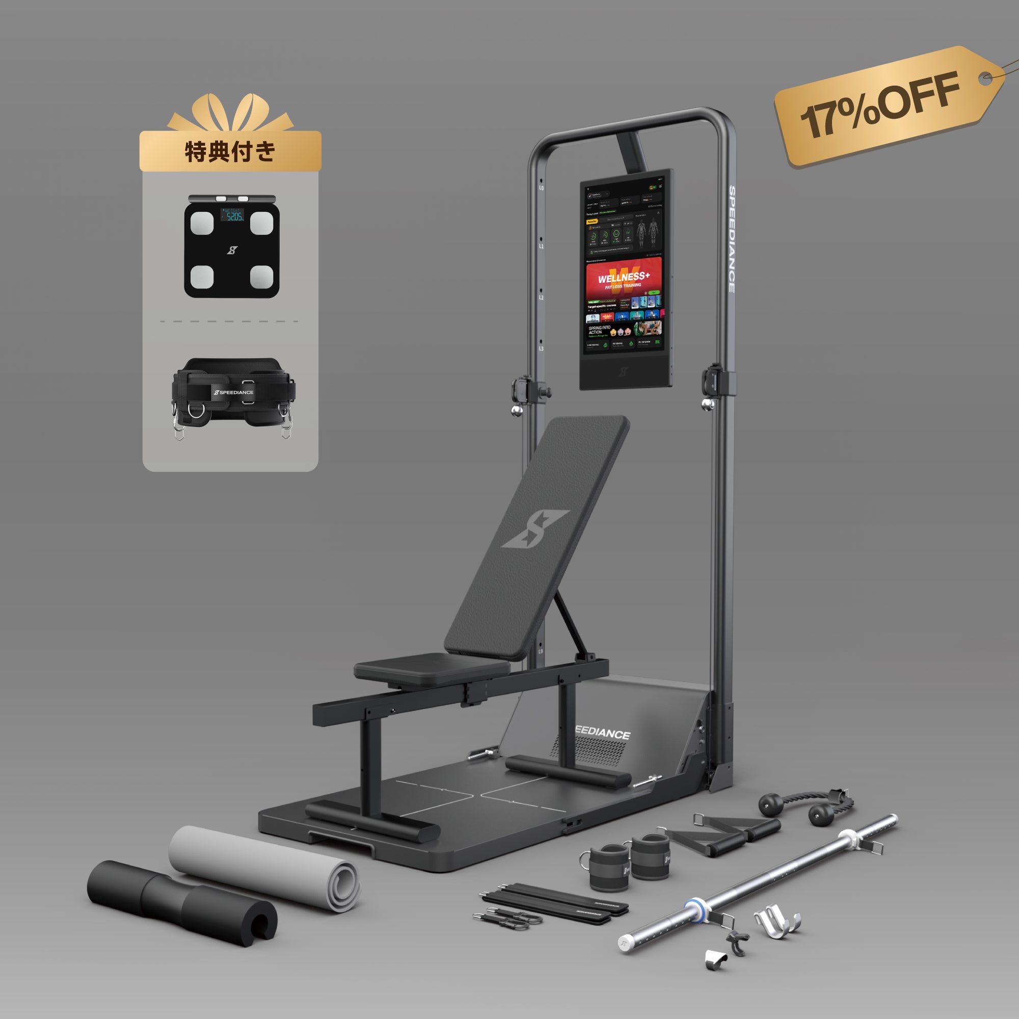 Gym Monster 2-Works Plus 2